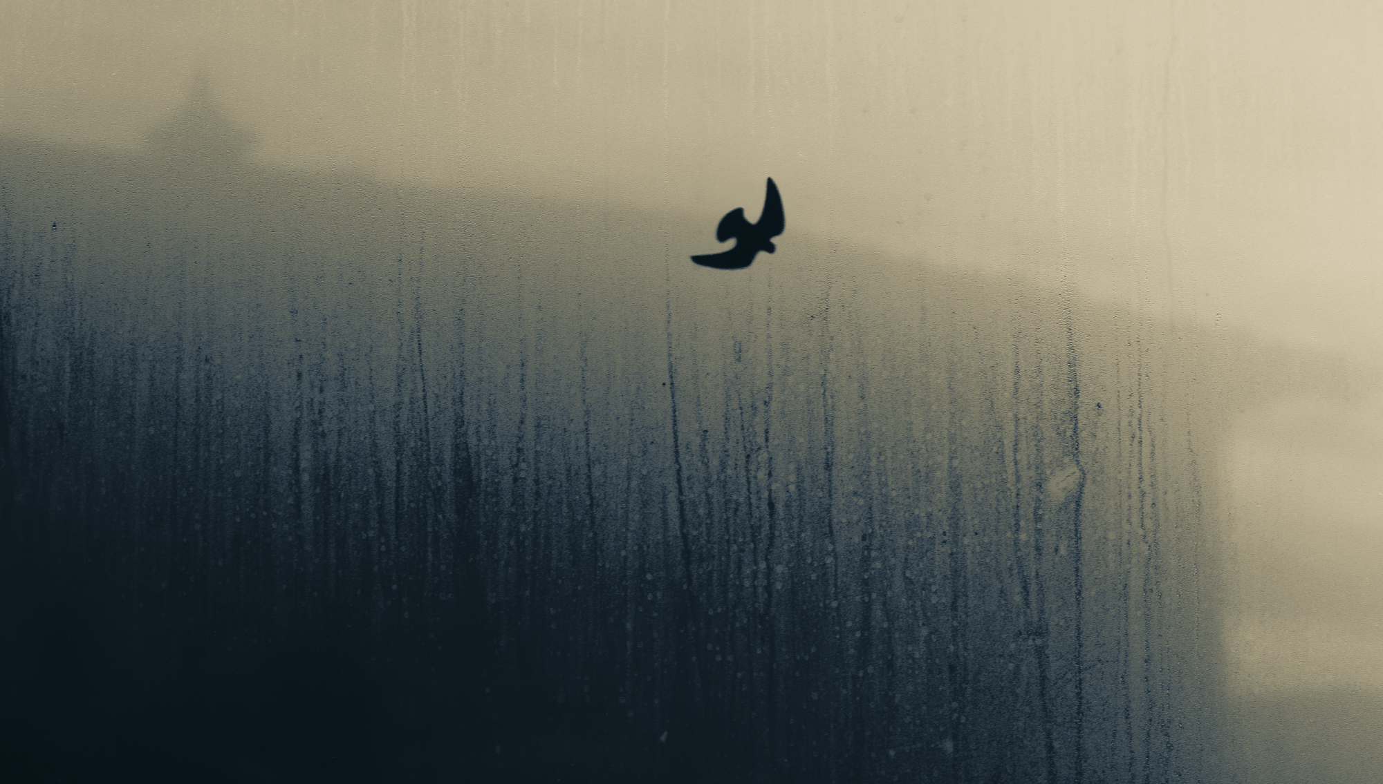 Fred blau